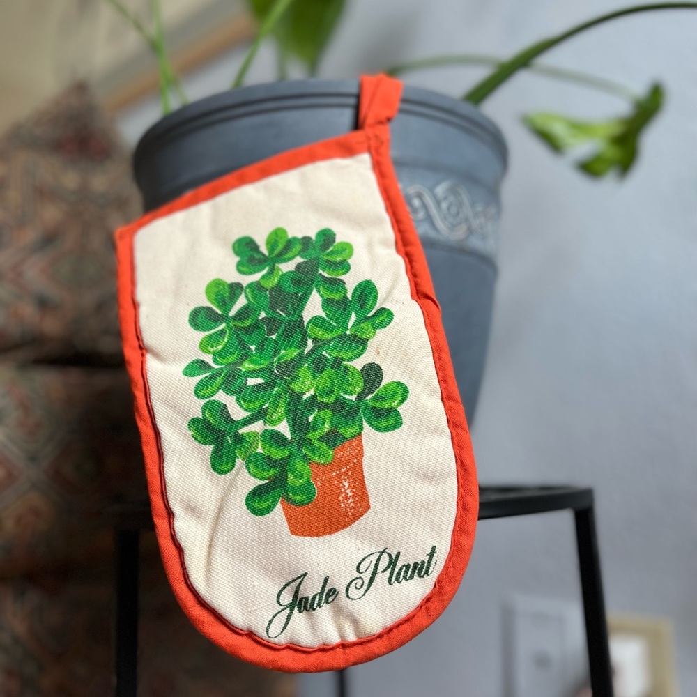 Vintage Jade Plant Oven Mitt